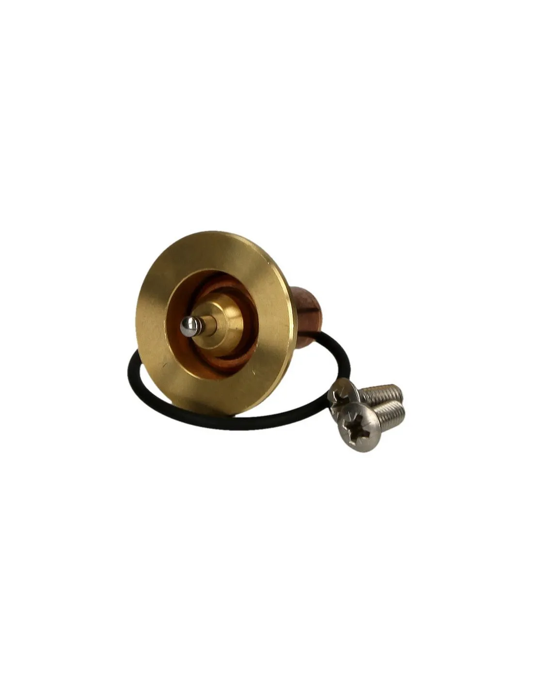Sonde 61°C pour vanne thermique avec joint ThermoVar®